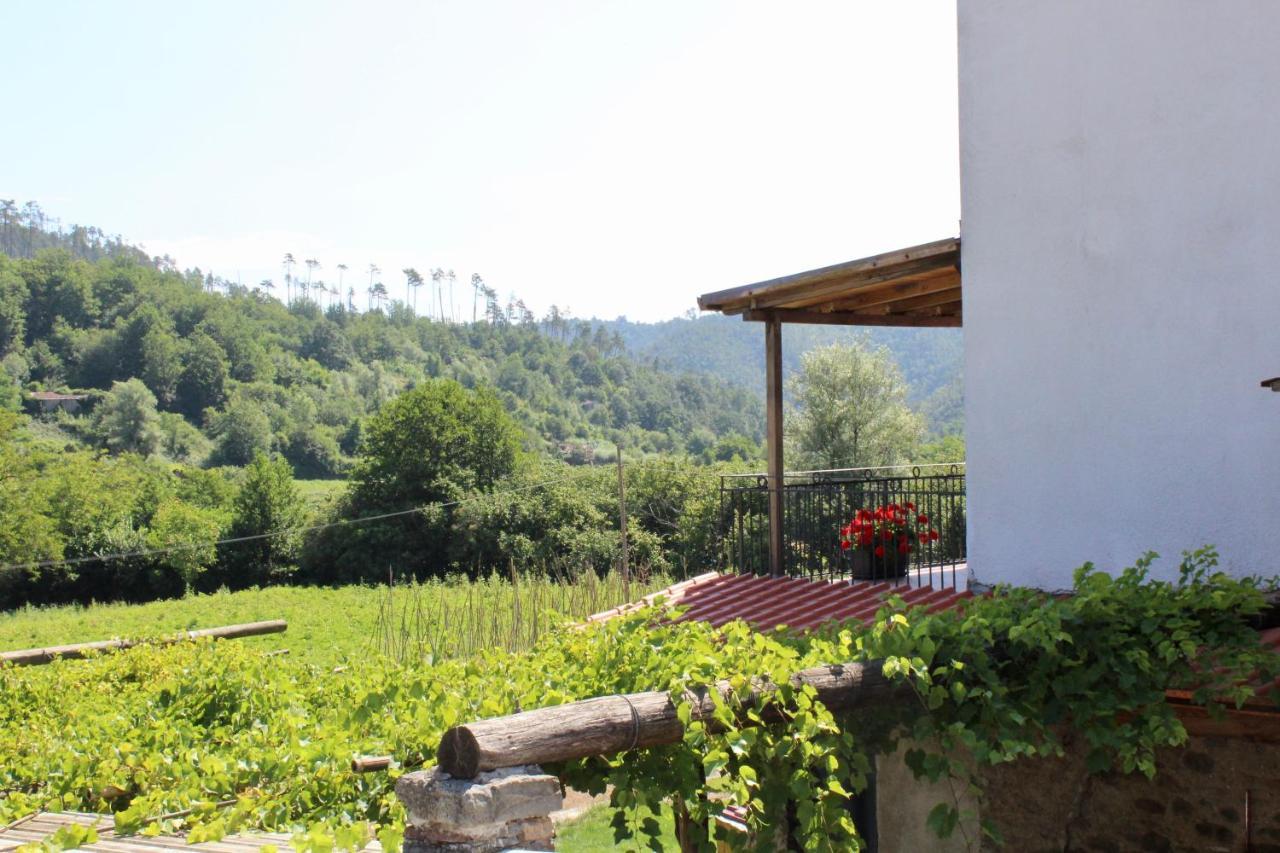 Agriturismo La Ferriera Pignone Eksteriør bilde